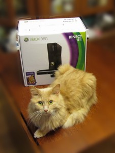 Приставка Xbox360 и Kinect